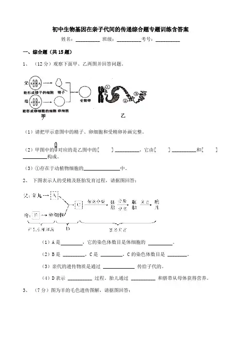 初中生物基因在亲子代间的传递综合题专题训练含答案