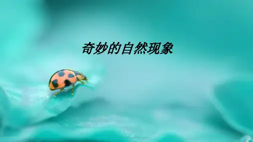 奇妙的自然现象教育课件