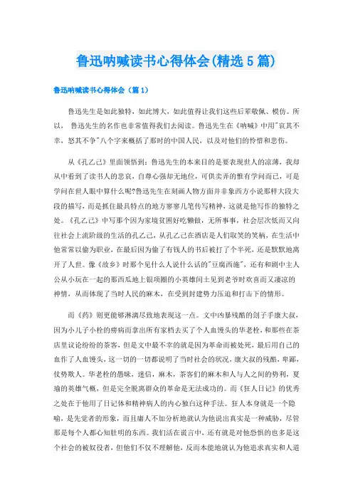 鲁迅呐喊读书心得体会(精选5篇)