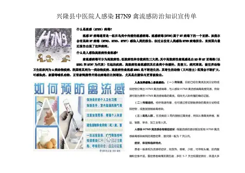H7N9禽流感宣传资料