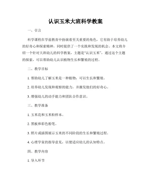 认识玉米大班科学教案