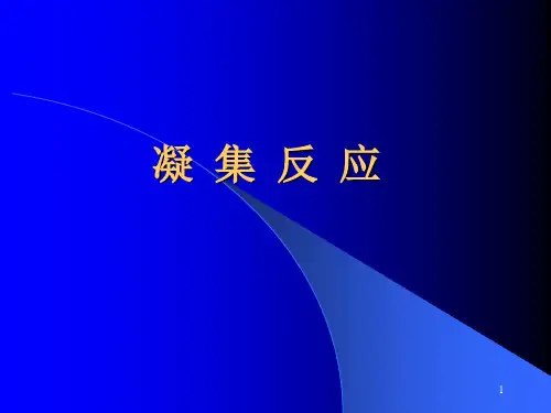 凝集反应