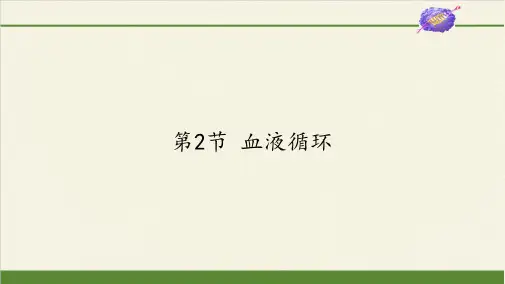 七年级生物下册课件-4.9.2 血液循环2-北师大版
