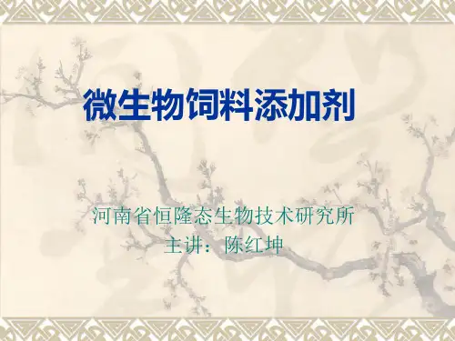 微生物饲料添加剂——陈红坤.pptx