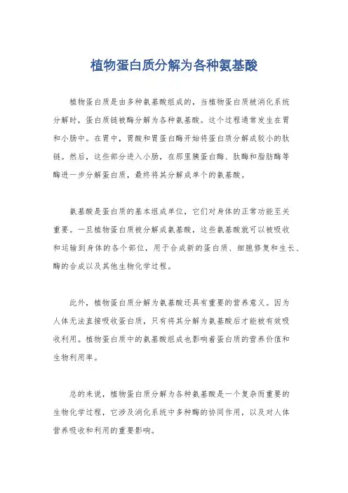 植物蛋白质分解为各种氨基酸
