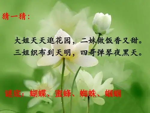 绿色蝈蝈PPT课件