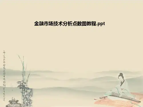 金融市场技术分析点数图教程