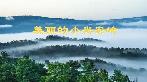 《美丽的小兴安岭》PPT课件