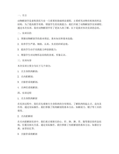 动物解剖学实训报告