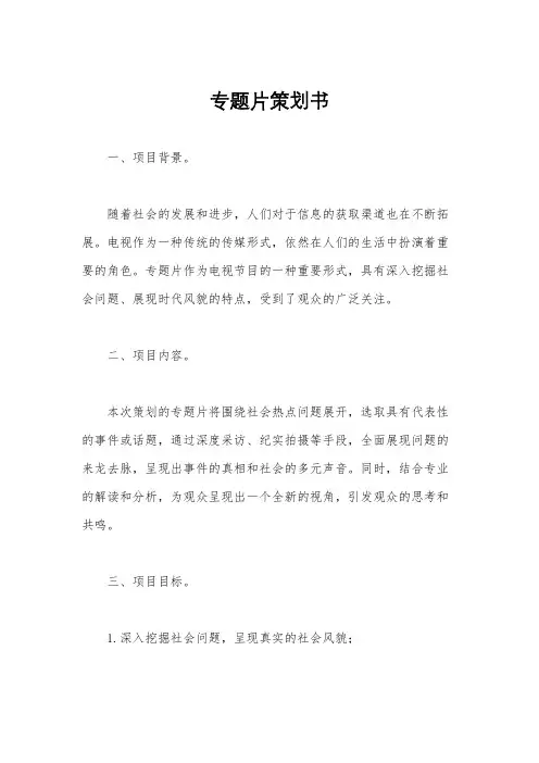 专题片策划书