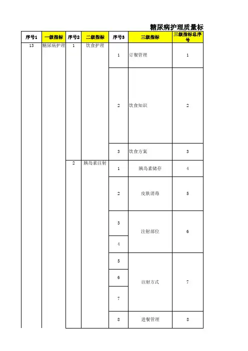 13定稿-糖尿病护理质量标准