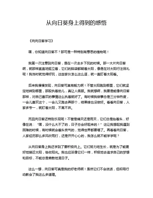 从向日葵身上得到的感悟