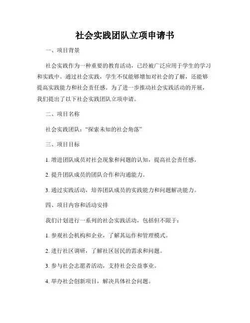 社会实践团队立项申请书