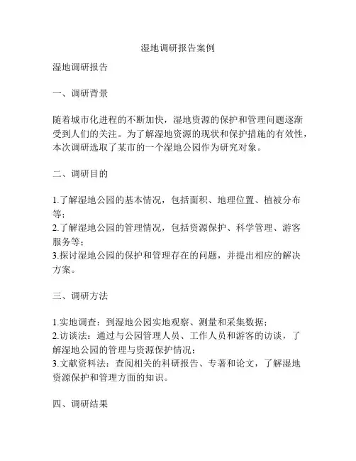 湿地调研报告案例