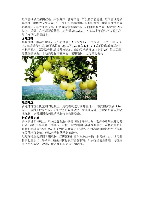 红肉蜜柚的标准化栽培技术
