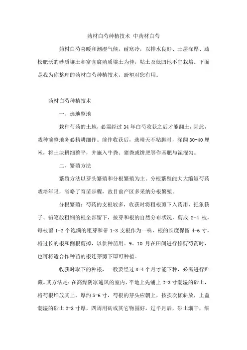 药材白芍种植技术   中药材白芍