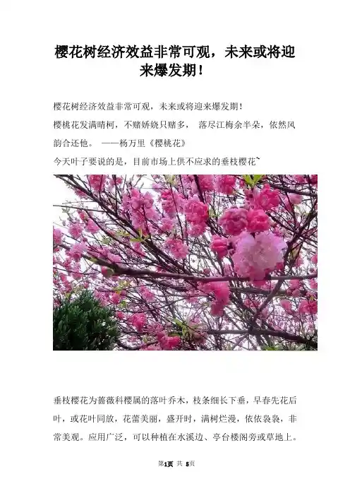 樱花树经济效益非常可观，未来或将迎来爆发期！
