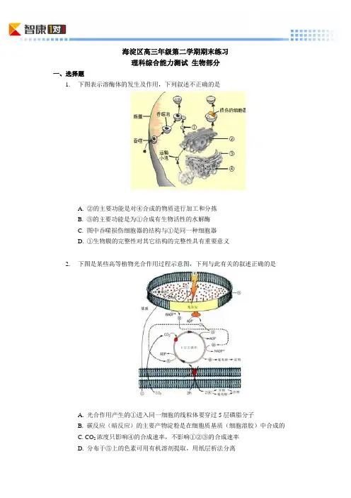 2011北京海淀高考二模生物(含解析)