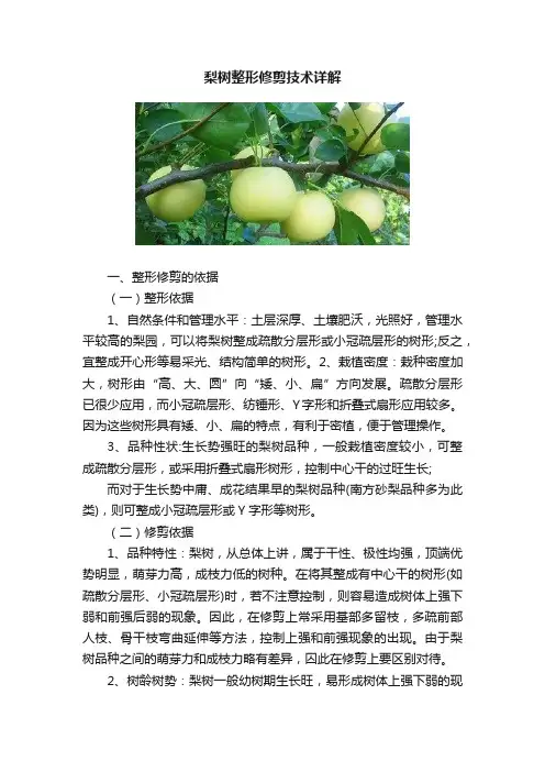 梨树整形修剪技术详解