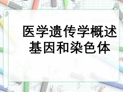 医学遗传学概述基因与染色体