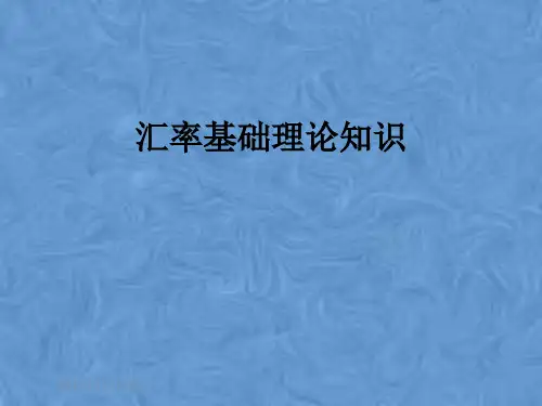 汇率基础理论知识