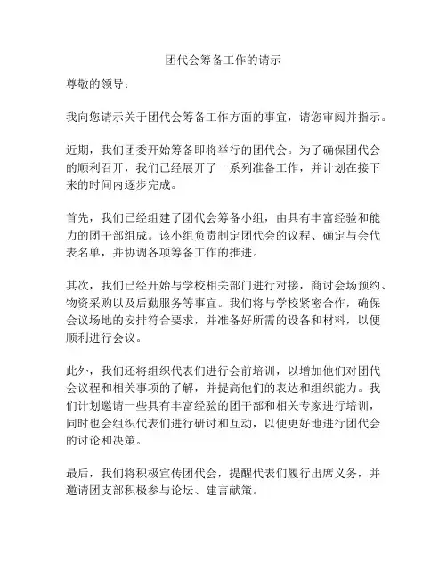 团代会筹备工作的请示