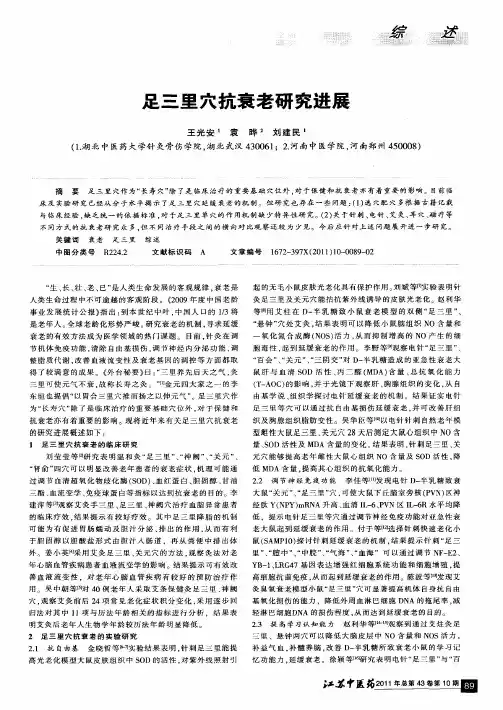 足三里穴抗衰老研究进展
