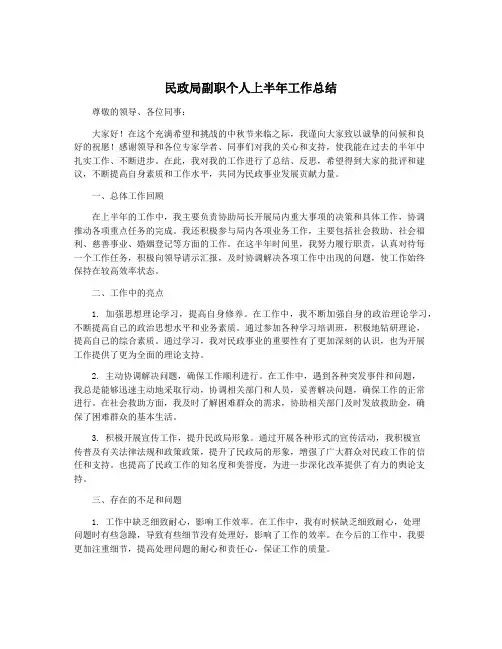 民政局副职个人上半年工作总结
