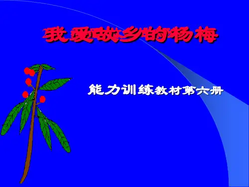 我爱故乡的杨梅PPT课件