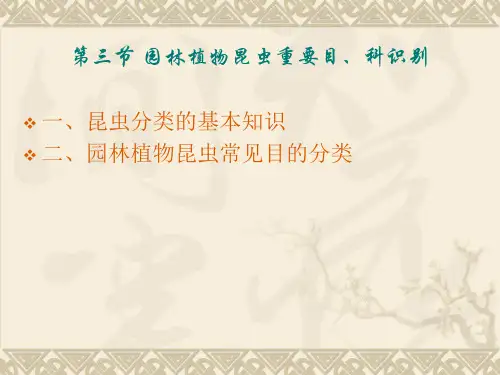 第三节昆虫重要目、科识别