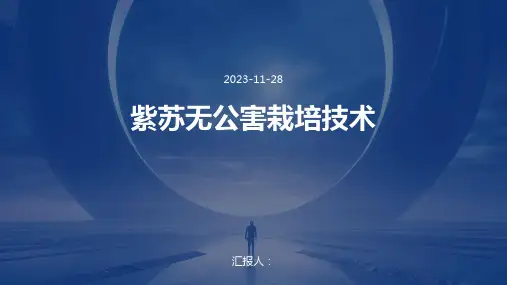 紫苏无公害栽培技术