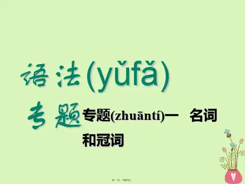 高考英语一轮复习语法专项专题一名词和冠词课件北师大版