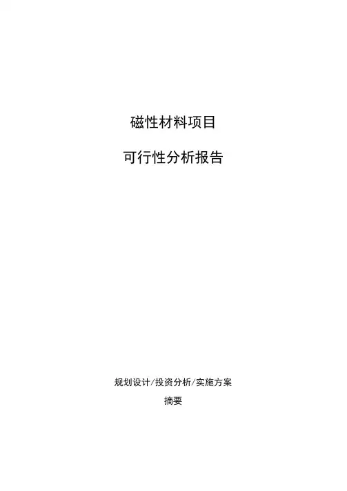 磁性材料项目可行性分析报告