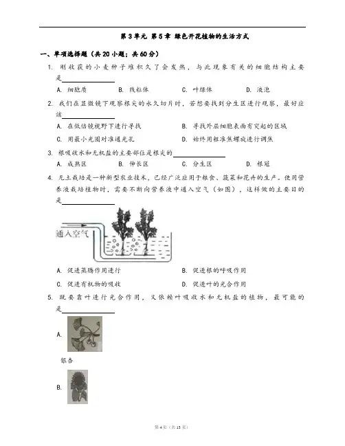 北师大版七年级生物上册单元测试卷第3单元 第5章 绿色开花植物的生活方式(word版,含答案解析)