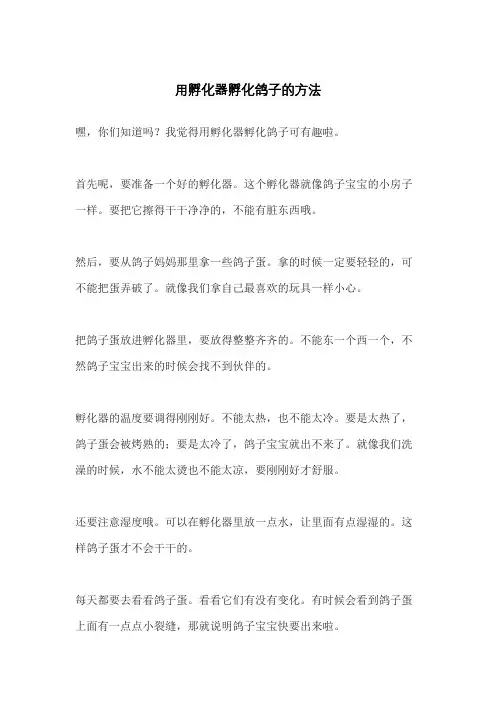 用孵化器孵化鸽子的方法