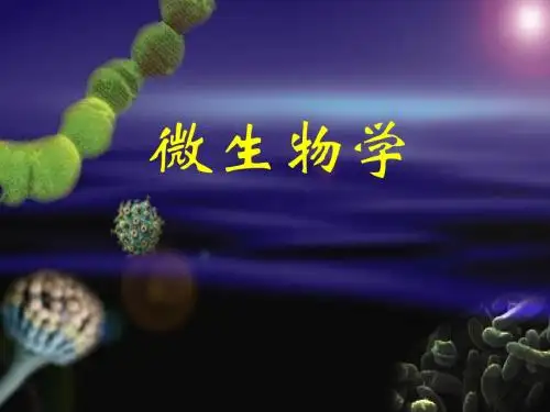 第十一章 微生物的分类和鉴定 PPT课件