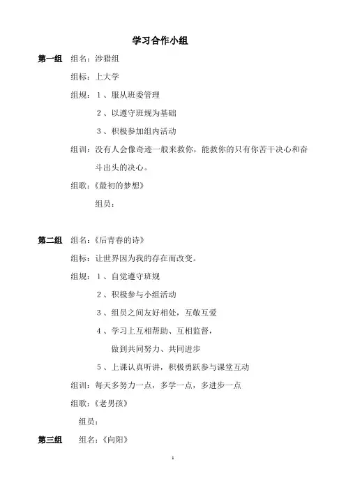 小组文化建设