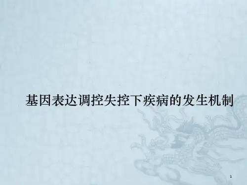 生化基因表达与调控 ppt课件