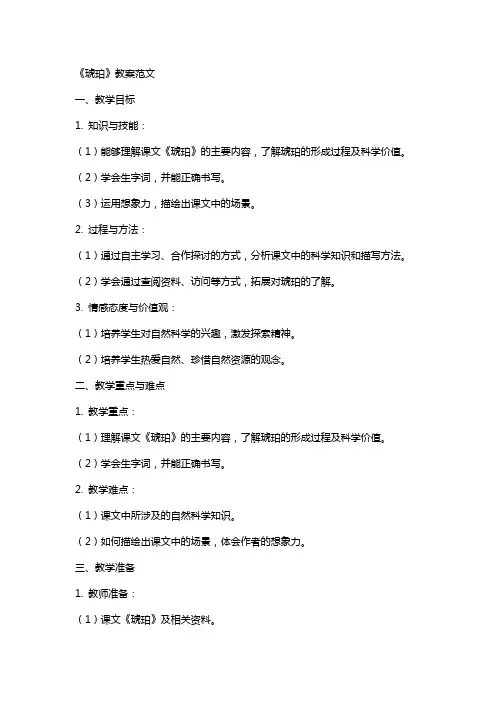 《琥珀》教案范文