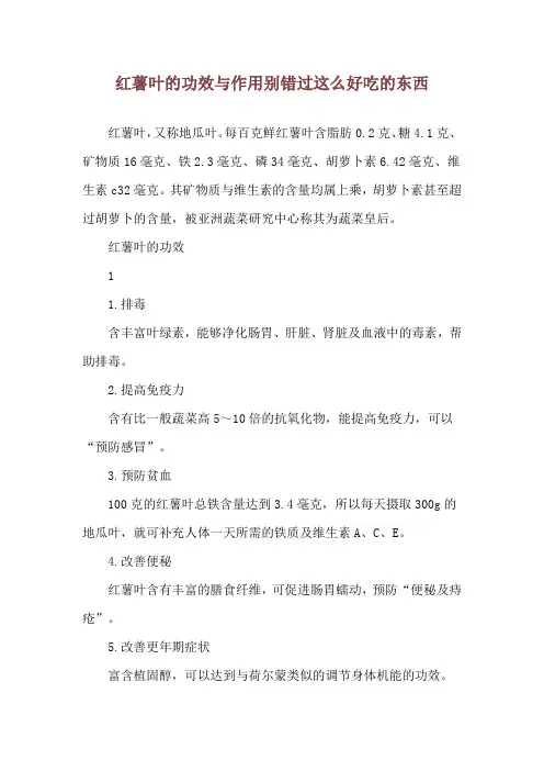 红薯叶的功效与作用 别错过这么好吃的东西