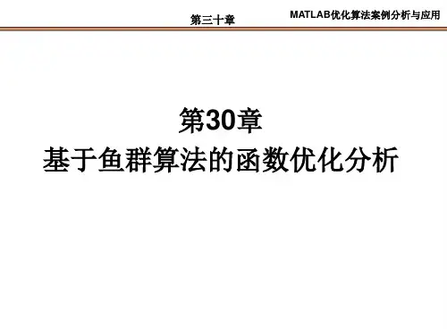第30章  基于鱼群算法的函数优化分析