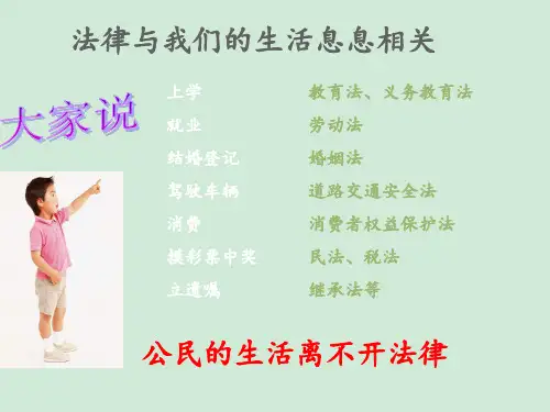 提高法律意识ppt课件