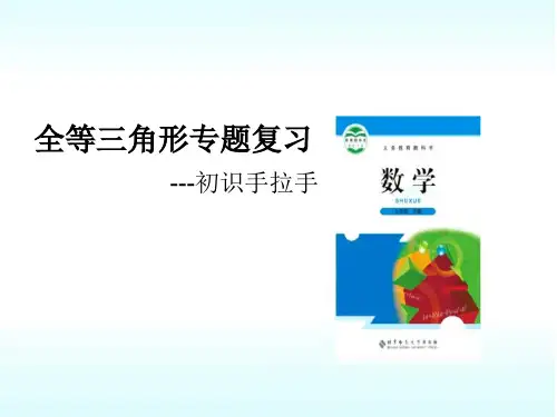 全等三角形专题复习手拉手模型