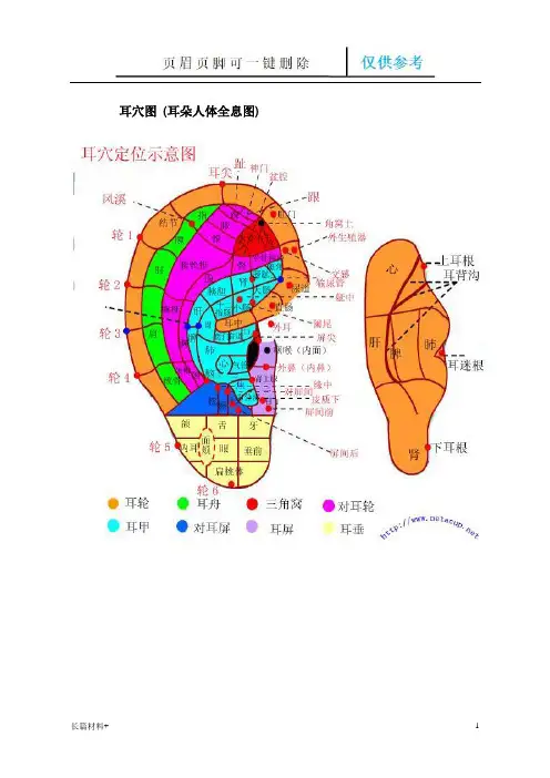 耳穴图 耳穴图 (耳朵人体全息图)(学习相关)