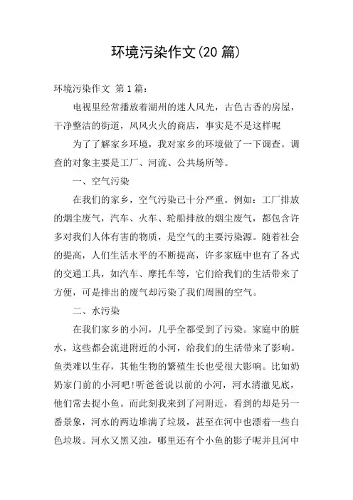环境污染作文(20篇)