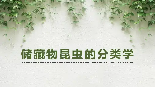储粮昆虫学：储藏物昆虫的分类(三)