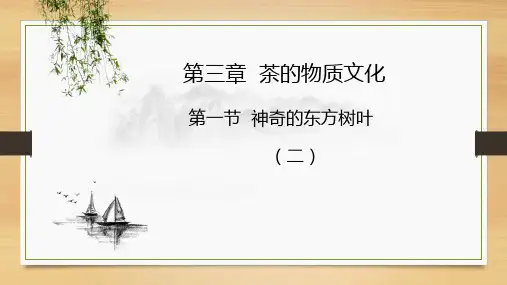 第三章第一节(2)  神奇的东方树叶-茶树的形态特征(二)-《中华茶文化》课件