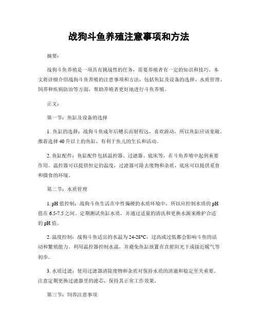 战狗斗鱼养殖注意事项和方法