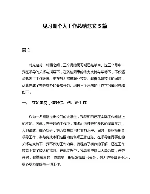 见习期个人工作总结范文5篇
