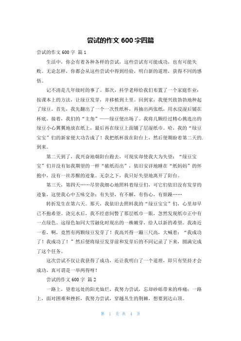 尝试的作文600字四篇